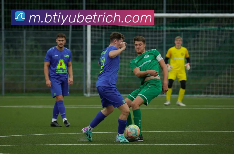 B体育APP 封面图